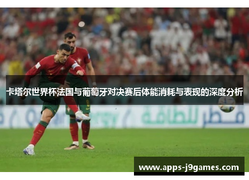 卡塔尔世界杯法国与葡萄牙对决赛后体能消耗与表现的深度分析