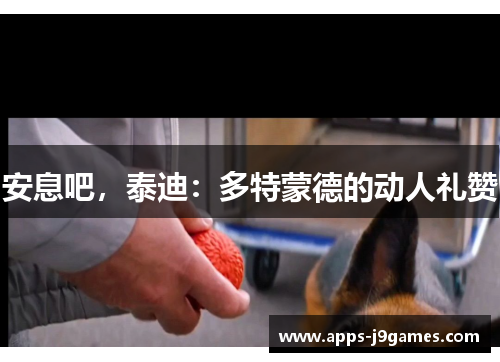 安息吧，泰迪：多特蒙德的动人礼赞