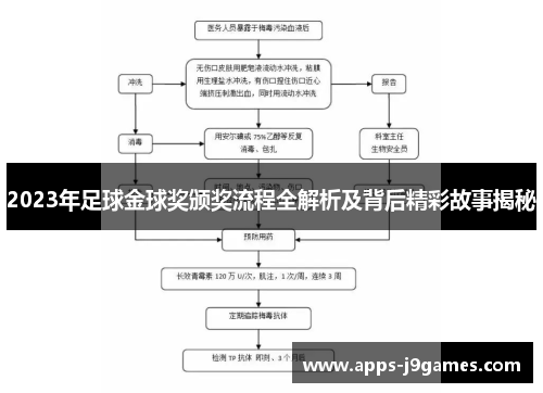 2023年足球金球奖颁奖流程全解析及背后精彩故事揭秘